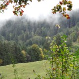 1310F 013 Oberstdorf-Kulmbach